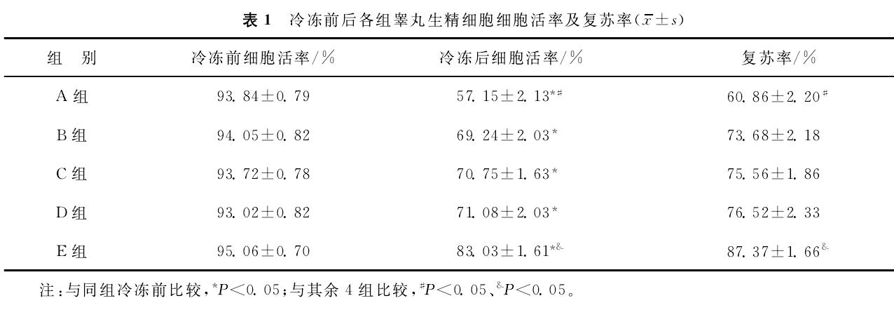 avt-pharma-20230529-18.jpg